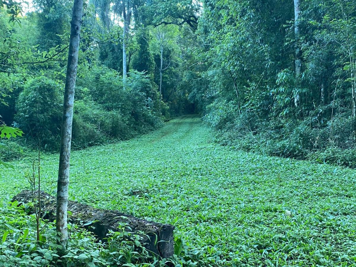 Reserva La Mision Mocona - Solo Adultos Saltos del Moconá Extérieur photo